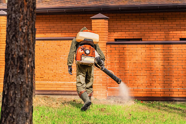 Trusted Ant Control service in Kingsley, MI - Nex Pest Control